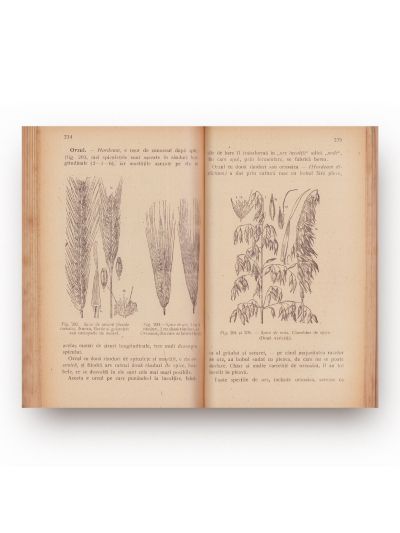 C. Lacrițeanu, Științele naturale aplicate la industrie și comerț, 1946 