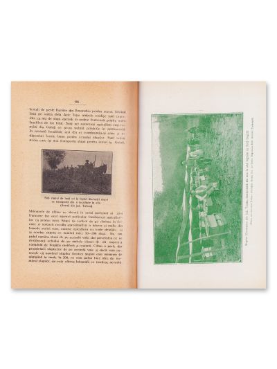 Trei volume despre apicultură, 1926-1943
