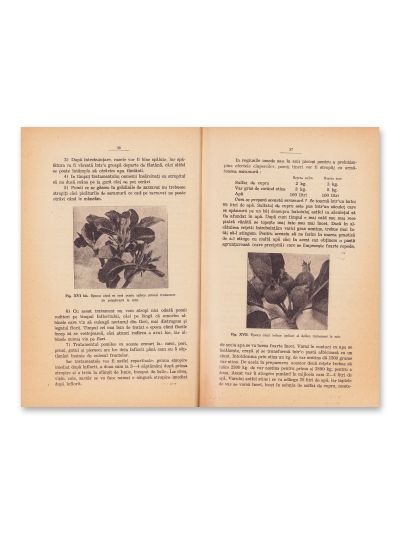 Tratamentul pomilor roditori, 1932 + Din lumea plantelor, 1917