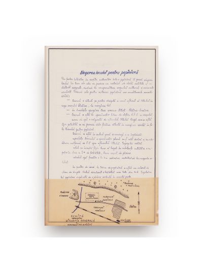 Proiectul de pepinieră al studentei Nicolaescu Maria, 1956