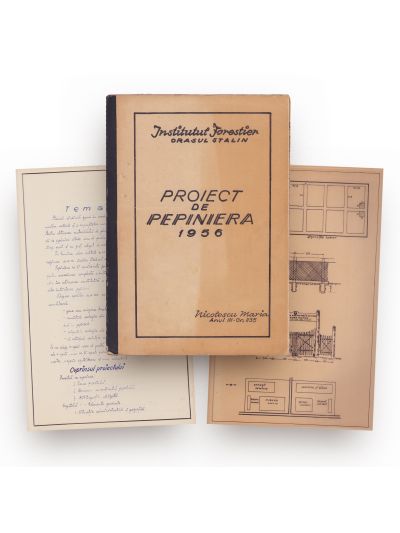 Proiectul de pepinieră al studentei Nicolaescu Maria, 1956