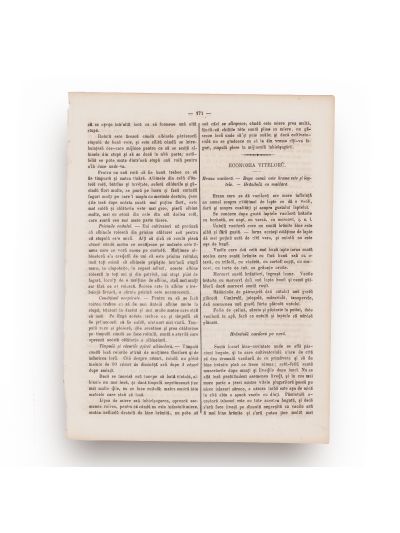 Publicația „Monitorul Comunelor”, An II, Nr. 22, 1862 - Calendarul Plugarului, albinăria și economia vitelor