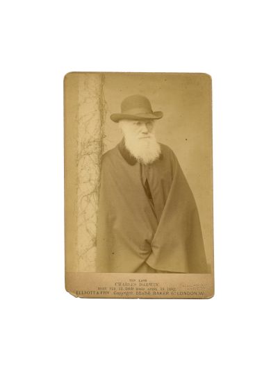 Charles Darwin, fotografie de cabinet, atelier Elliott & Fry
