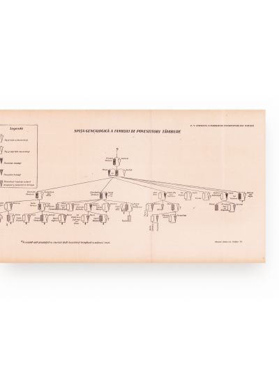 Anuarul Arhivelor de Folclor, 1932-1945, 7 volume