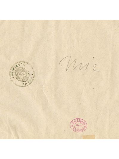 Băile Herculane, litografie, sec. XIX