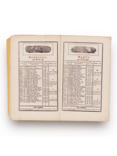 „Albina Română”, calendar ilustrat pentru români pe 1863