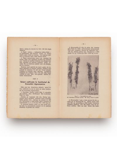 Clocitoarea artificială și conducerea ei + Cultura bumbacului în România +  Soia, 1938-1941