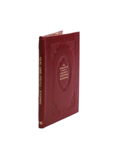I. L. Caragiale, Culisele chestiunii naționale, 1896 - Piesă rară