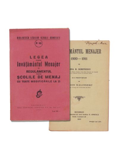 Elena M. Demetriescu, Învățământul menajer + Legea pentru învățământul menajer, 1913-1935