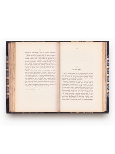 Simion Fl. Marian, Nașterea la români, 1892