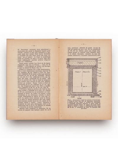 Cultura și foloasele sfeclei + Stupii Sistematici + Determinarea tăriei adevărate și a volumului real al unui amestec de alcool 