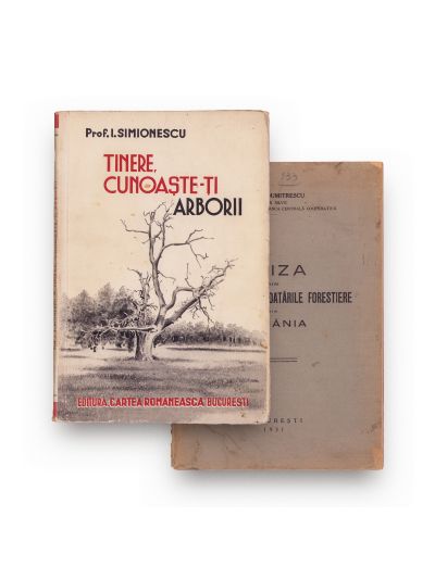 Criza din industria și exploatările forestiere din România, 1931 + Tinere, cunoaște-ți arborii