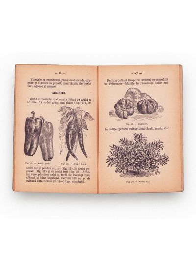 Grădina de legume și micul gospodar, 1940