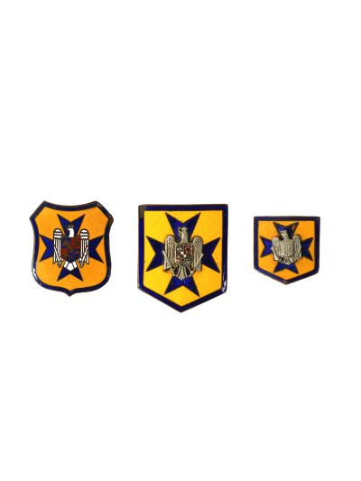 Organizația „Straja Țării”, trei insigne