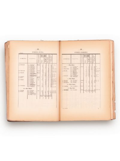 P. Poni, Statistica răzeșilor, 1921