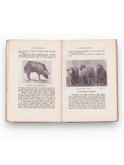 Dr. Agricola Cardaș, Cunoștințe de zootehnie generală, 1931