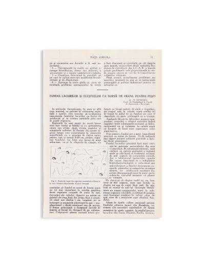 Publicația „Viața Agricolă”, Anul 32 + Anul 33, 1941-1942
