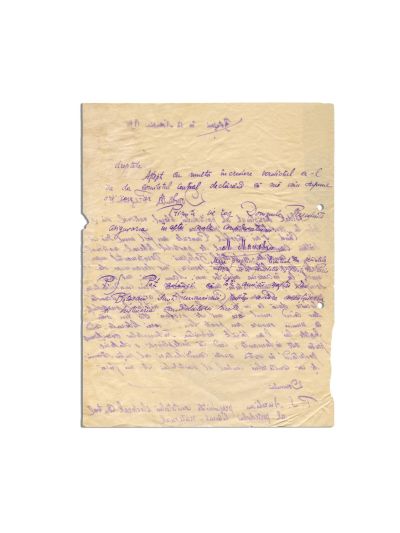 M. Manoli, scrisoare pentru Petre S. Aurelian, 1895