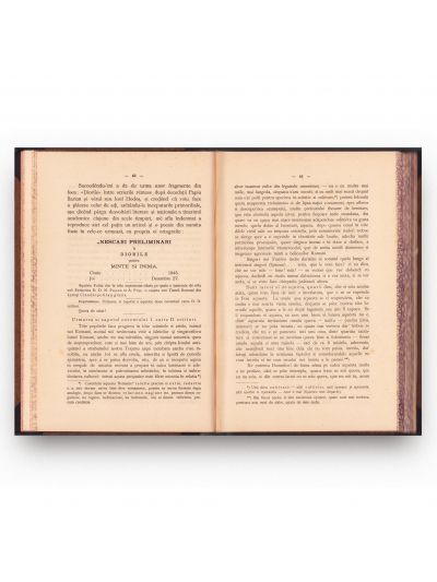 Nicolae Popea, Memorialul arhiepiscopului și mitropolitului Andrei baron de Șaguna, 1889