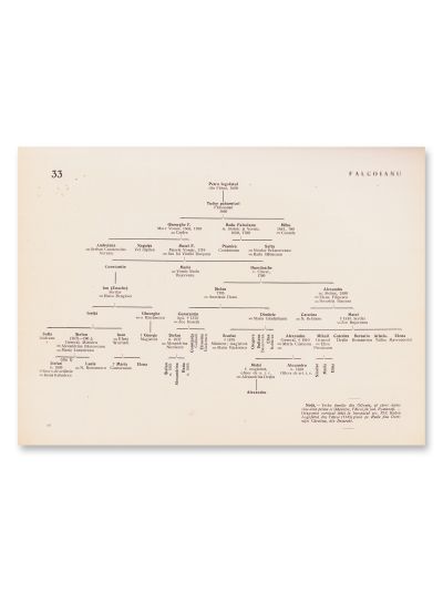 Octav George Lecca, Genealogia a 100 de case din Țara Românească și Moldova, 1911