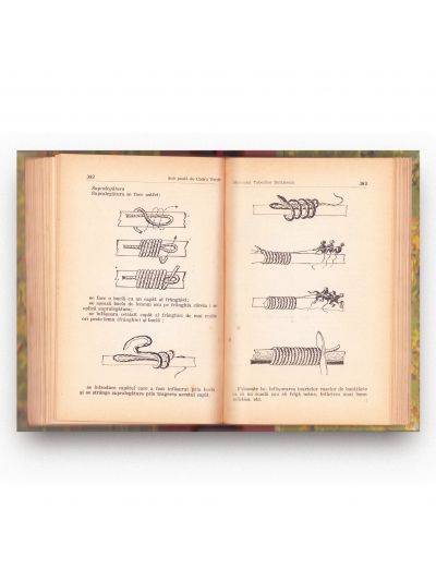 Teofil Gh. Sidorovici, Sub poală de codru verde