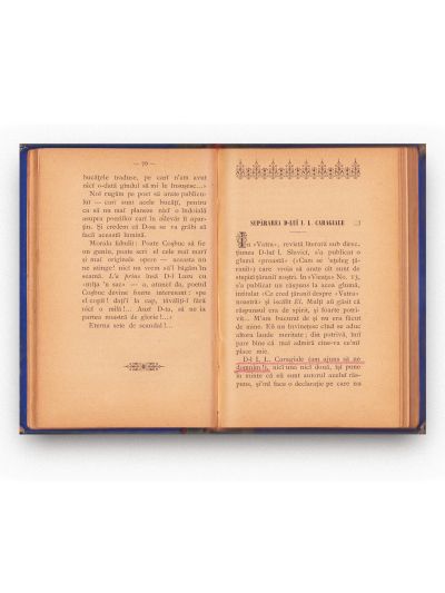 A. Vlahuță, Un an de luptă, 1895 