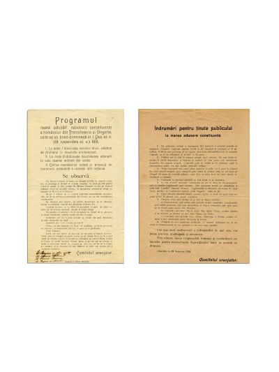 Marea Adunare Națională de la Alba Iulia, programul și îndrumări pentru ținuta publicului, 1918