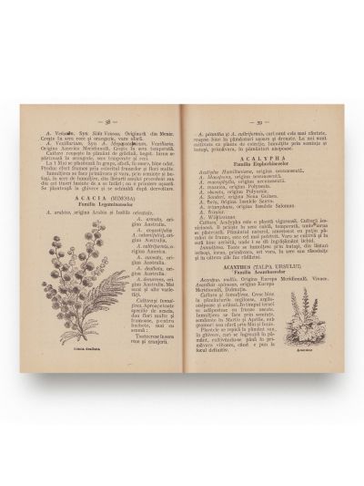 Ilie Morlova, Zamfir Moraru, Tratat practic de cultura florilor, 1927