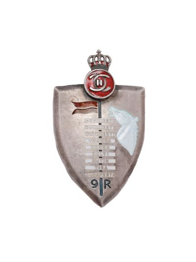 Insigna de 7 ani „Regimentul 9 Roșiori -Regina Elena- Robănești”