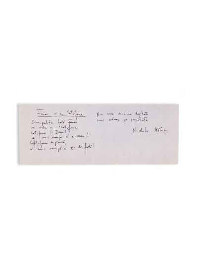 Nichita Stănescu, Fana și cu Coțofana, poezie-manuscris