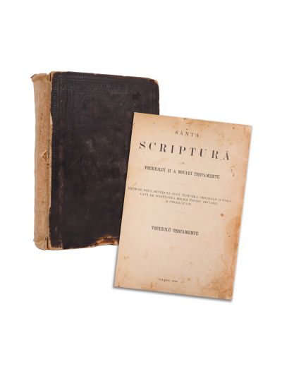 Sfânta Scriptură a Vechiului și Noului Testament, 1874