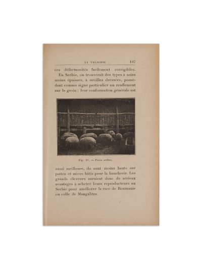 Jacques Watelin, Notes sur l’agriculture de la Valachie, 1906