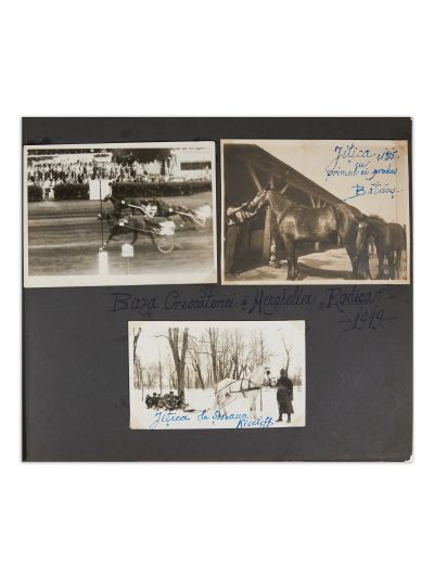 Jockey-Club, dare de seamă pentru anul 1925 + album de călărie