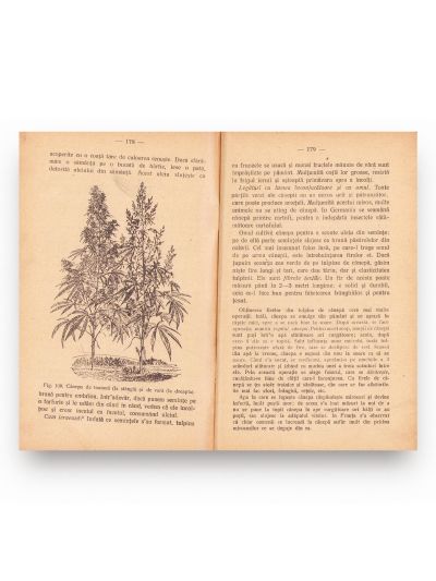 Const. Kirițescu și A. Popovici-Bâznoșanu, Botanica pentru gimnazii, licee, școli normale, seminarii, școli militare, 1932