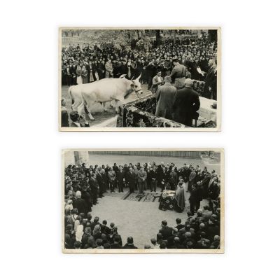 Vizita Regului Mihai în comuna Segarcea, două fotografii, 1941