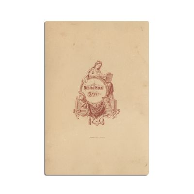 Vedere a orașului Iași, fotografie de epocă, atelier Nestor Heck - Piesă rară