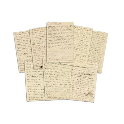 Mircea Eliade, Gâze și gângănii, manuscris 