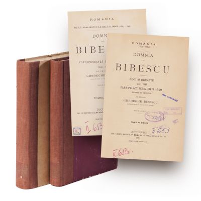 Gheorghe Bibescu, Domnia lui Bibescu, două tomuri, 1893-1894