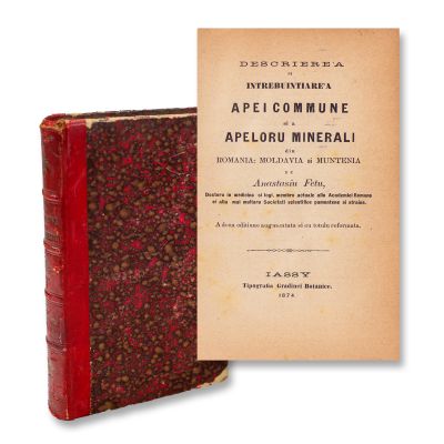 Descrierea și întrebuințarea apei comune și a apelor minerale din România, 1874