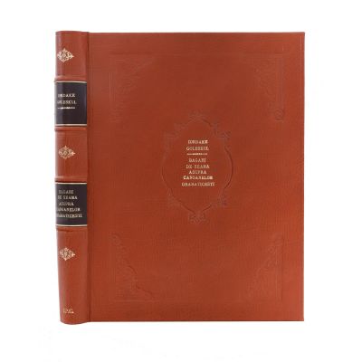 Iordache Golescu, Băgări de seamă, 1840