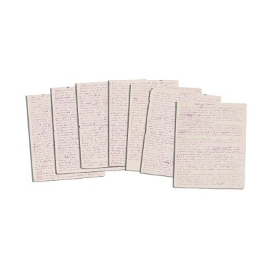 Mircea Eliade, manuscrisul eseului „Muștele verzi”
