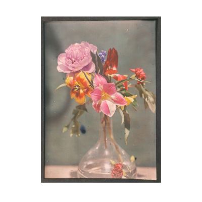 Compoziții de flori și fructe, 5 autocromii realizate de arh. Victor Ștefănescu