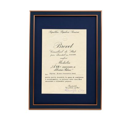 Mircea Constantin Aurel, brevet pentru Medalia „A XX-a aniversare a eliberării Patriei”, 1964 