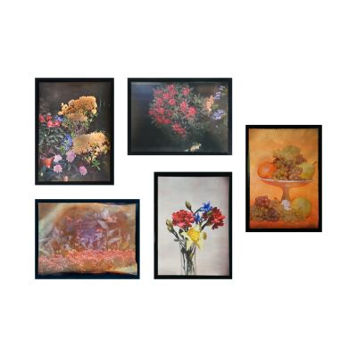 Compoziții cu fructe și aranjamente florale, 5 autocromii realizate de arh. Victor Ștefănescu