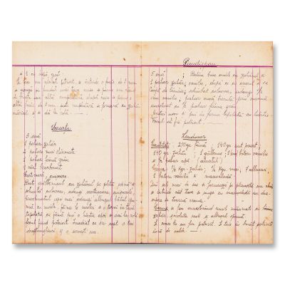 Eufrosina Popa, manuscris gastronomic din 1906 + scrisoare olografă  