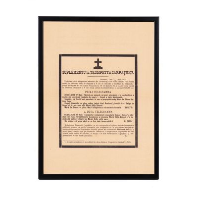 Supliment al publicației „Trompeta Carpaților”, 20 mai/1 iunie 1873 - ferparul lui Alexandru Ioan Cuza