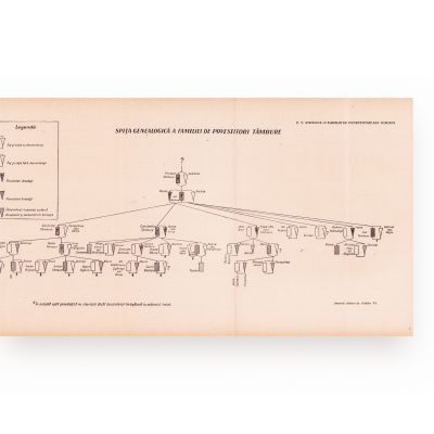 Anuarul Arhivelor de Folclor, 1932-1945, 7 volume