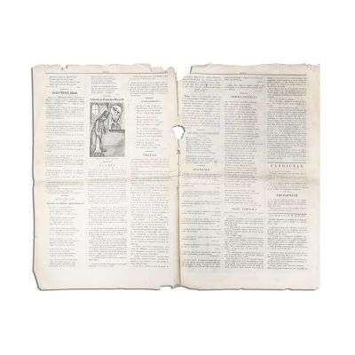 Publicația „Scaiul”, Anul I, Nr. 29, 23 ianuarie 1883
