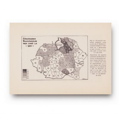 Patru broșuri despre etnografie, 1940 - 1943 