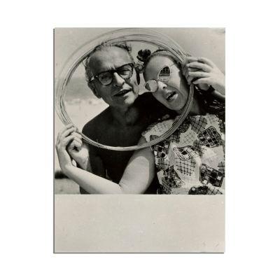 Medi Wechsler-Dinu, Jurnal intim și documente din arhivă personală